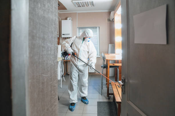 Best Commercial Mold Inspection  in Estes Park, CO