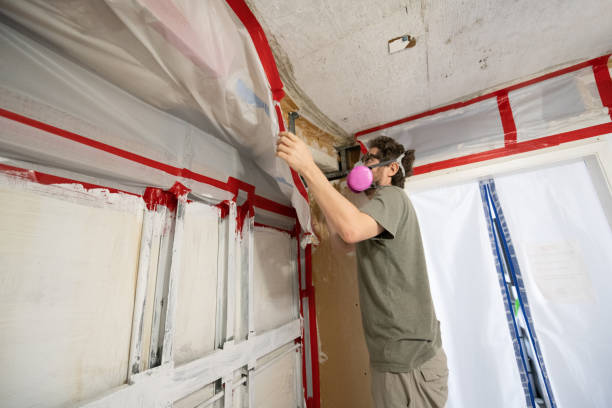 Best Basement Mold Removal  in Estes Park, CO